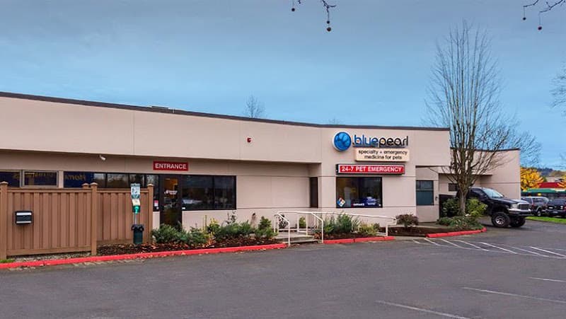 Dog day care center BluePearl Pet Hospital Renton