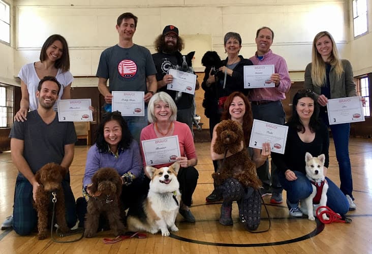 Dog day care center Bravo!Pup Richmond