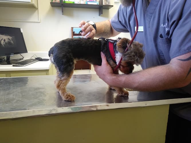 Dog day care center Broadway Animal Hospital Everett