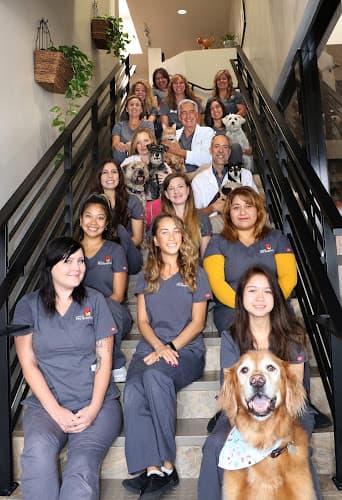 Dog day care center Cabrillo Pet Hospital San Diego
