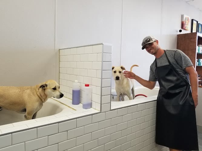 Dog day care center Cali Pets The Grooming Professionals San Marcos