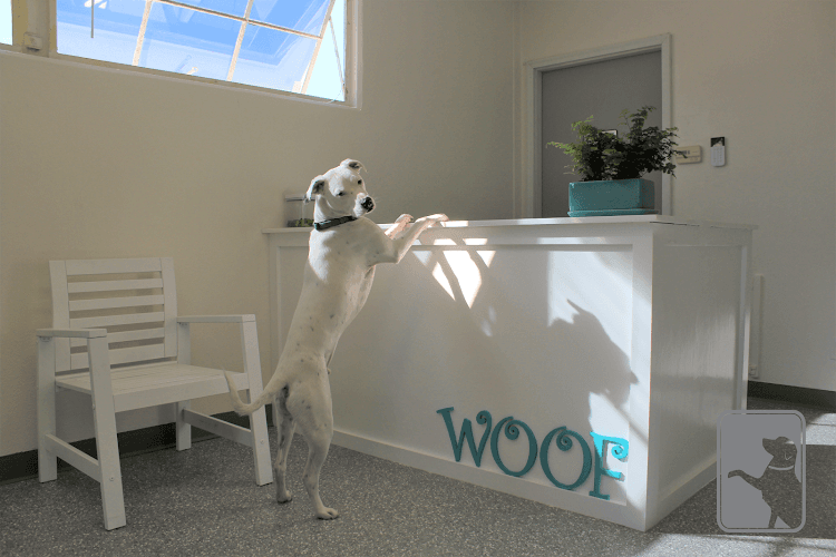 Dog day care center Canine Rehabilitation Of Orange County Santa Ana
