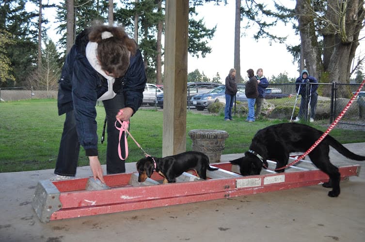 Dog day care center Canyon Crest K-9 Training Center Tacoma