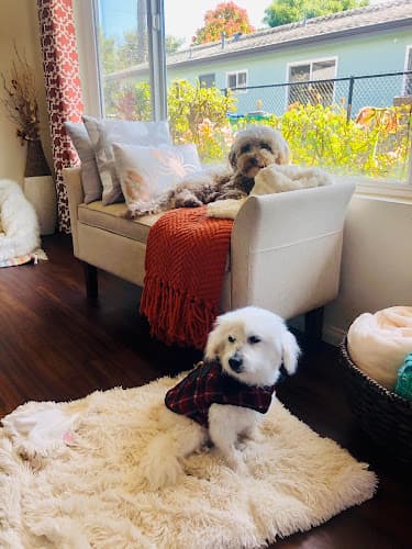 Dog day care center Carlsbad Animal Hospital Carlsbad