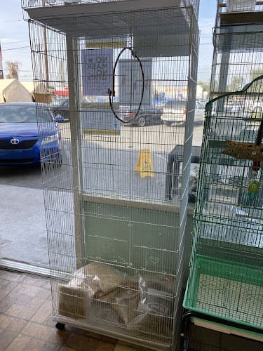 Dog day care center Carol's Pet Center South Gate