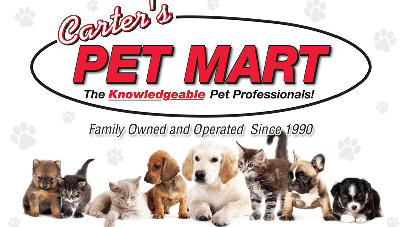 Dog day care center Carter's Pet Mart Inc Stockton
