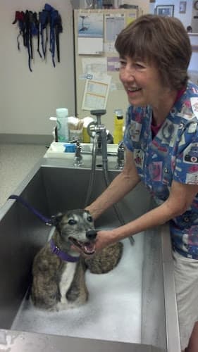 Dog day care center Cascade Veterinary Hospital Federal Way