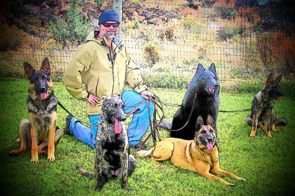 Dog day care center Cascadia Canine Training School Bend