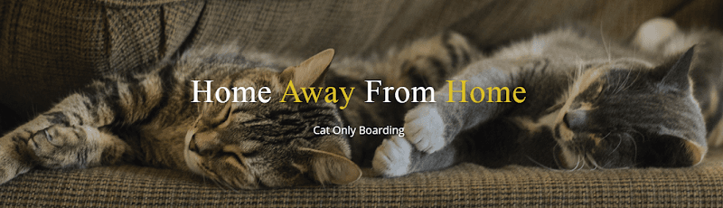 Dog day care center Cat Boarding Los Angeles, Cat Grooming Los Angeles, Cat & Pet Hotel, Cat Boarding Burbank & Los Feliz : Cateau Marmont Burbank