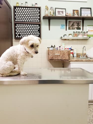 Dog day care center Centinela Animal Hospital Inglewood
