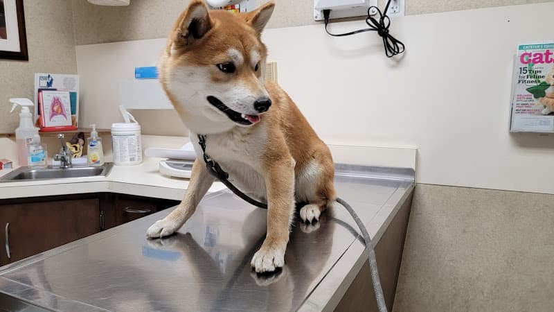 Dog day care center Central Veterinary Hospital Fremont