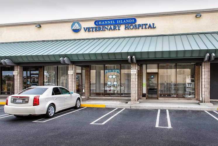 Dog day care center Channel Islands Veterinary Hospital Oxnard
