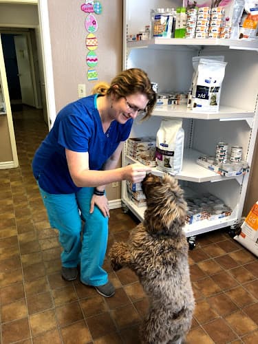 Dog day care center Cherry Chase Pet Hospital Sunnyvale