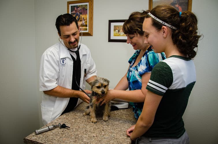 Dog day care center Chico Creek Animal Hospital Chico