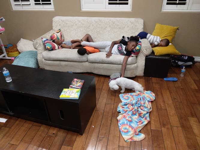 Dog day care center Circle City Animal Hospital Corona