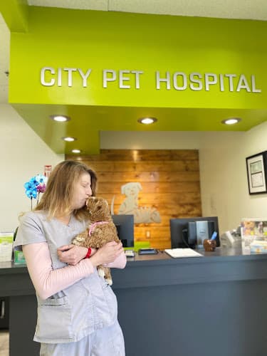 Dog day care center City Pet Hospital Daly City