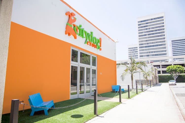 Dog day care center Citydog! Club Los Angeles