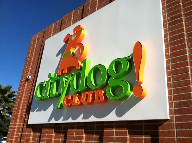 Dog day care center Citydog! Club Los Angeles