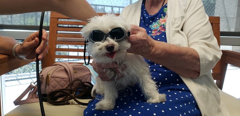 Dog day care center Companion Animal Wellness Center Carlsbad