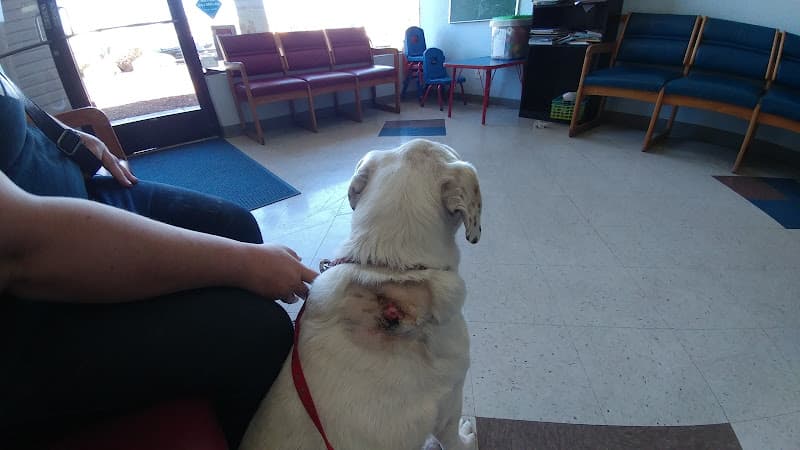 Dog day care center Companion Pet Clinic Salem