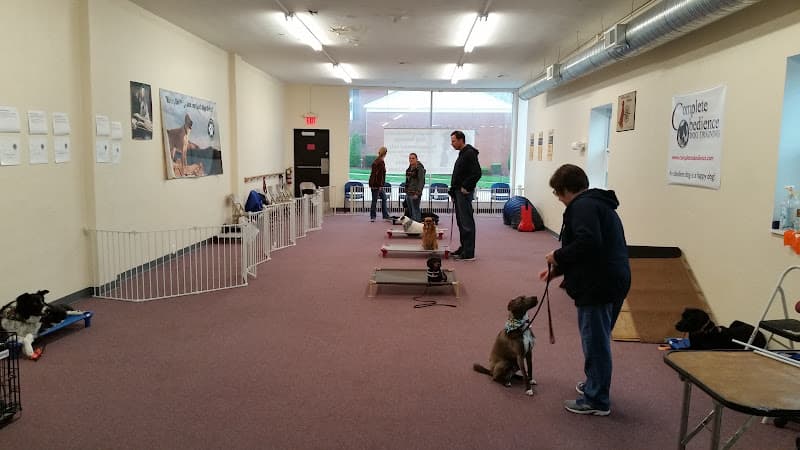 Dog day care center Complete Obedience Dog Training El Cajon