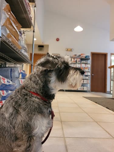 Dog day care center Cornerstone Animal Hospital Anchorage