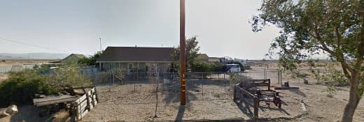 Dog day care center Country Home Pet Care Lancaster