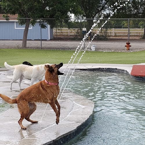 Dog day care center Country Kennels Temecula