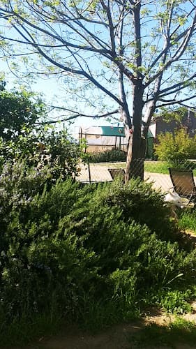 Dog day care center Country Ranch Dog Boarding Murrieta