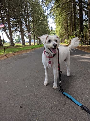 Dog day care center Countryside Pet Spa Portland