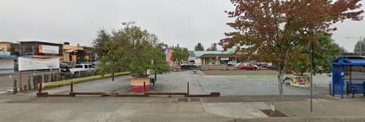 Dog day care center County Wide Dog Training Club Santa Rosa