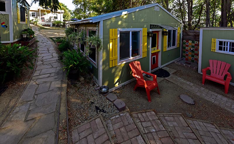 Dog day care center Critter Pet Care Oakland