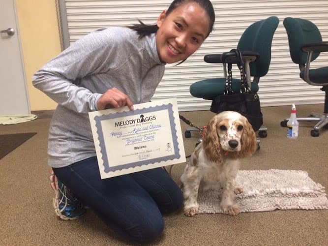 Dog day care center Daggs Melody Clovis