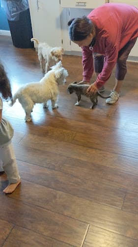 Dog day care center Dalana's Doggie Den Tacoma