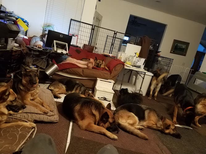 Dog day care center Diamond Oaks Ranch Murrieta