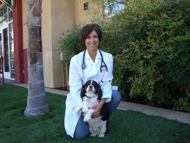 Dog day care center Doctors Pet Clinic Temecula