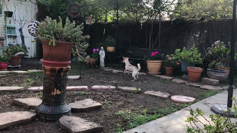 Dog day care center Dog Cottage girls El Monte