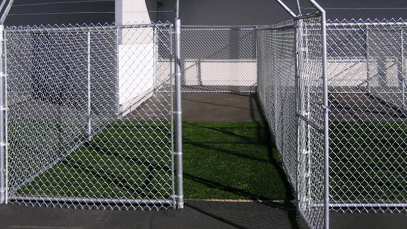 Dog day care center Dog on Fun West Covina