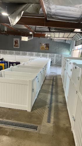 Dog day care center Dog Resort Los Angeles