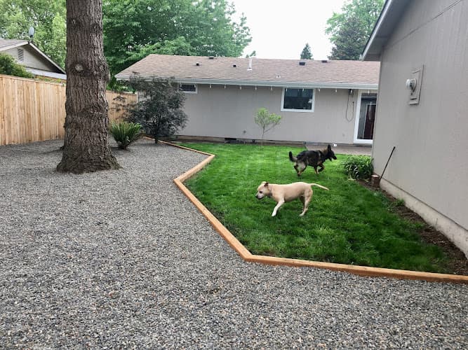 Dog day care center Dog T.A.G.S, LLC Eugene