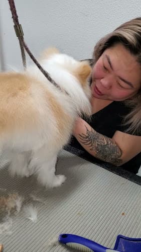 Dog day care center Doggie Stylez Kent