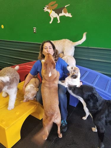 Dog day care center Doggone Fun! Doggy Daycare Center Portland