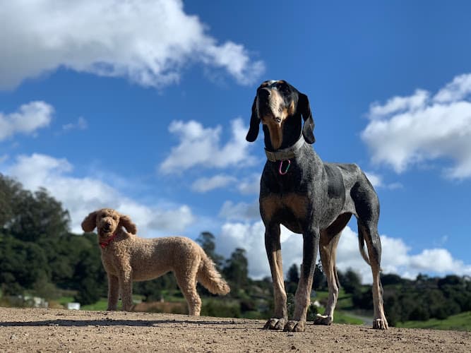 Dog day care center Dogwood Ranch Pet Resort Salinas