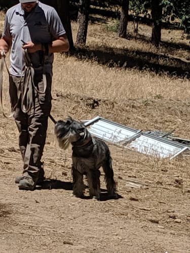 Dog day care center Double Dog Ranch San Bernardino