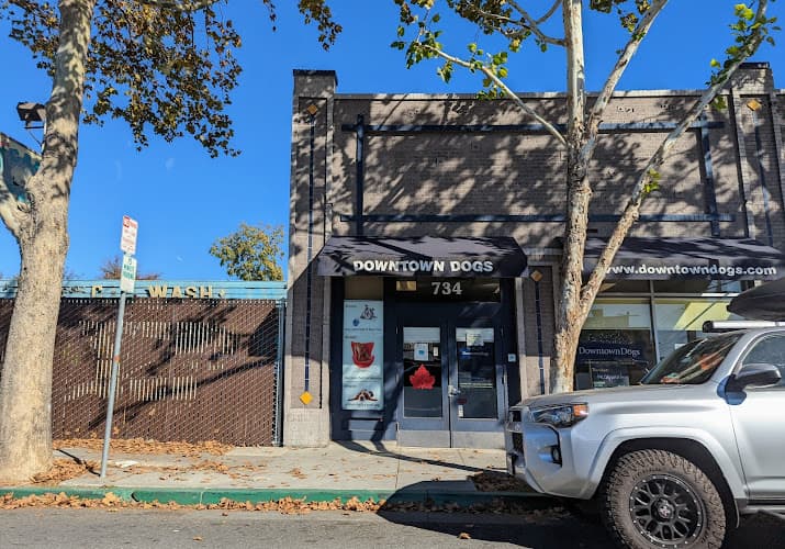 Dog day care center Downtown Dogs Santa Clara