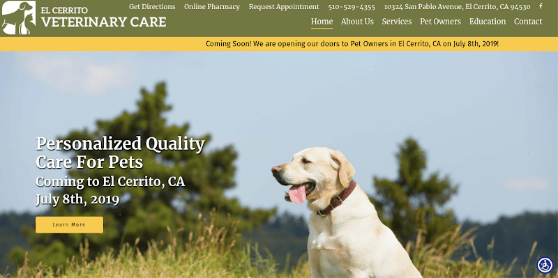 Dog day care center El Cerrito Veterinary Care Richmond