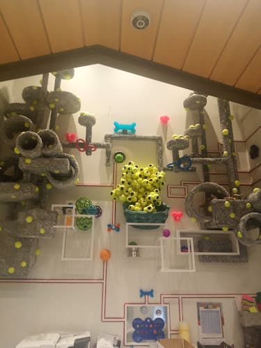 Dog day care center Elk Grove Animal Shelter Elk Grove