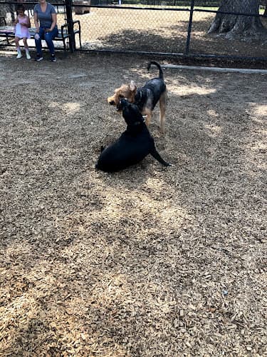 Dog day care center Elk Park / Modesto Dog Park Modesto