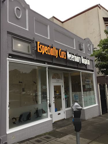 Dog day care center Especially Cats Veterinary Hospital, A Thrive Pet Healthcare Partner San Francisco