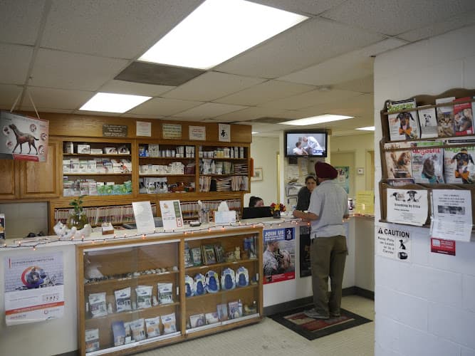 Dog day care center Euclid Veterinary Hospital Fontana